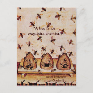 ANTIQUE HONEY BIE BEEKEEPER, HALTUNG POSTKARTE