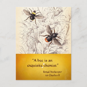 ANTIQUE HONEY BIE BEEKEEPER, HALTUNG POSTKARTE