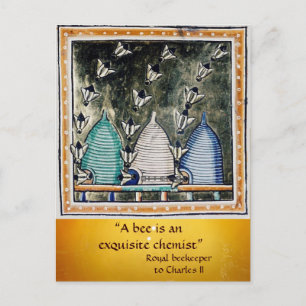 ANTIQUE HONEY BIES BIETET BIENEN RINDFLEISCH, RIND POSTKARTE