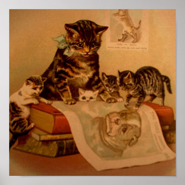 Antique Kittens & Books Kiteschule Poster (Vorne)