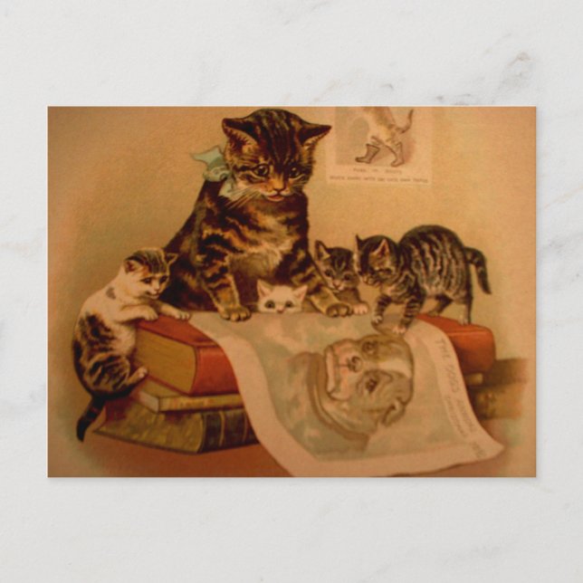 Antique Kittens & Books Kiteschule Postkarte (Vorderseite)