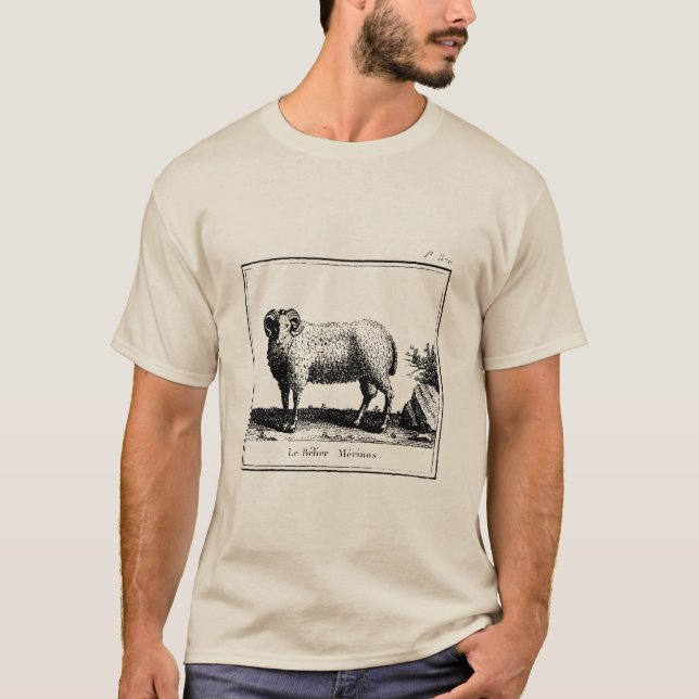 Antique Merino Sheep T-Shirt (Vorderseite)
