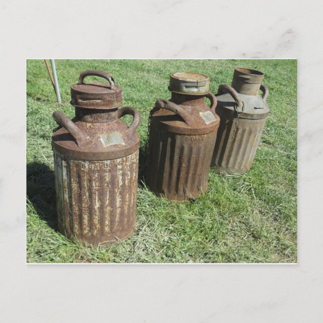 Antique Milk Jugs Postkarte (Vorderseite)