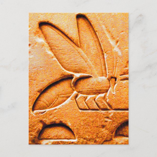 ANTIQUE ORANGE YELLOW EGYPTIAN HONEY BIE BEEKEEPER POSTKARTE (Vorderseite)