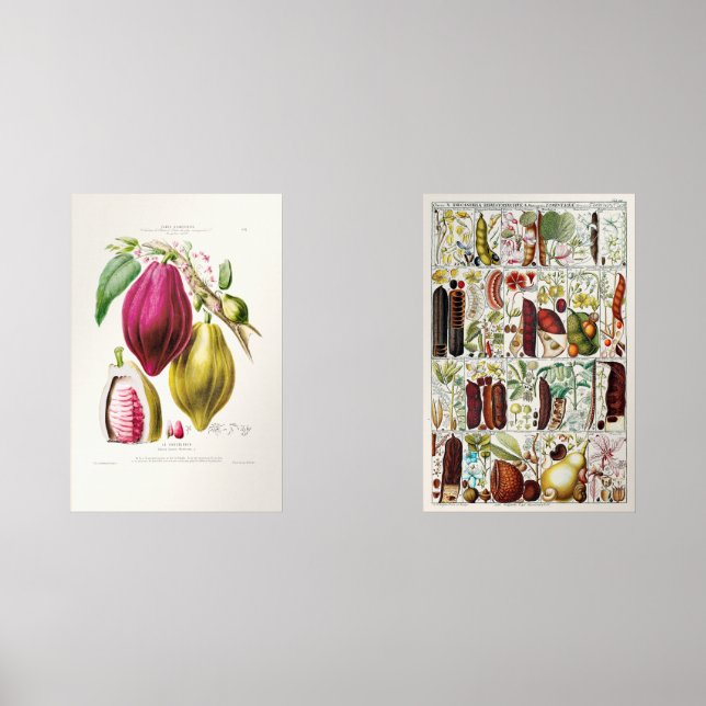antique　plant　unique bilderwand sets (Vorderseite)