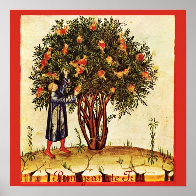 ANTIQUE POMEGRANATENBAUM POSTER (Vorne)