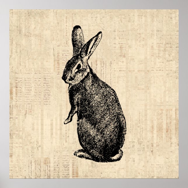 Antique Rabbit Illustration Bunny Art mit Script Poster (Vorne)