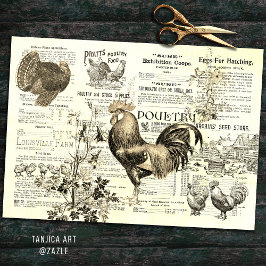 Antique Rooster Gartenbau Ads Ephemera Beige Seidenpapier