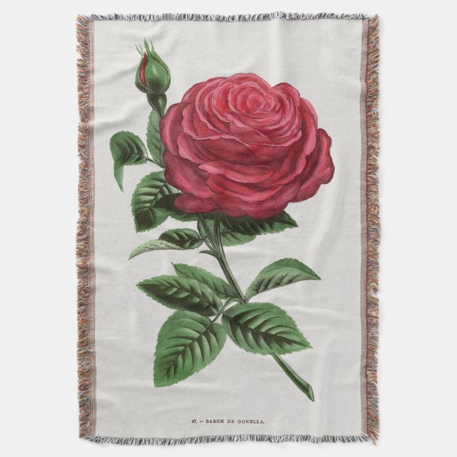 Antique Rose Lithograph, François-Frédéric Grobon Decke (Vorderseite Vertikal)