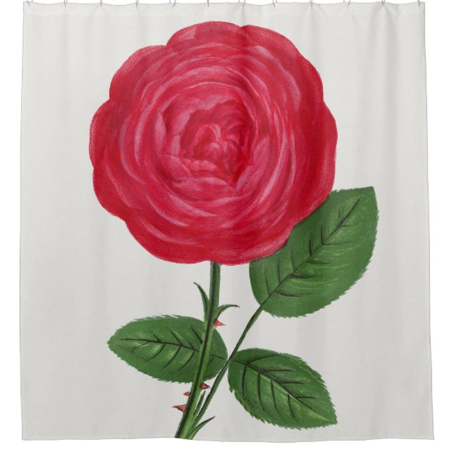 Antique Rose Lithograph, François-Frédéric Grobon Duschvorhang (Vorderseite)