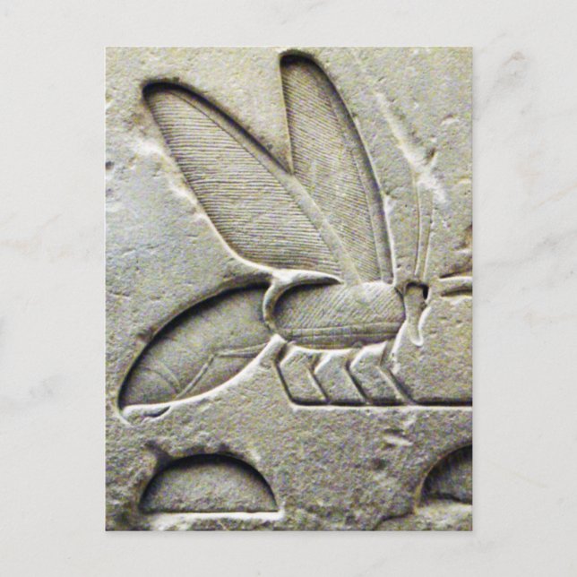 ANTIQUE SCHWARZ-WEISSE ÄGYPTISCHE HONEY BIE BEEKEE POSTKARTE (Vorderseite)
