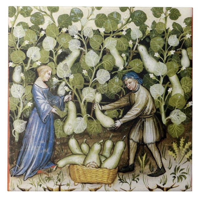 ANTIQUE SQUASH HARVEST FLIESE (Vorderseite)