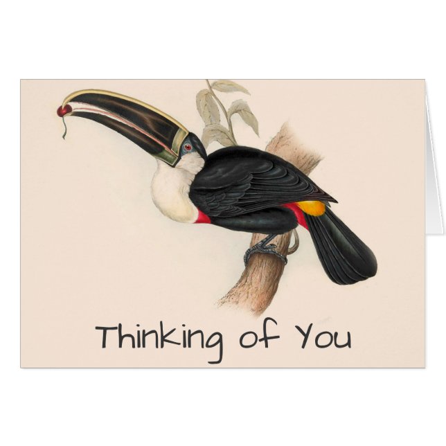 Antique Toucan Bird Wildlife Painting (Vorderseite (Horizontal))