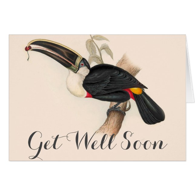 Antique Toucan Bird Wildlife Painting (Vorderseite (Horizontal))