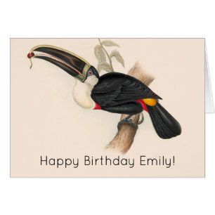 Antique Toucan Bird Wildlife Painting