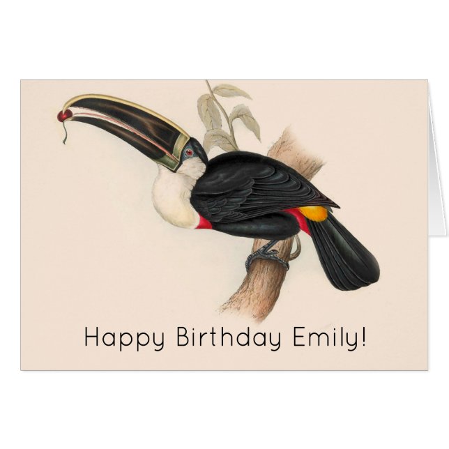 Antique Toucan Bird Wildlife Painting (Vorderseite (Horizontal))