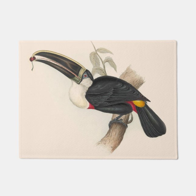 Antique Toucan Bird Wildlife Painting Fußmatte (Vorderseite)
