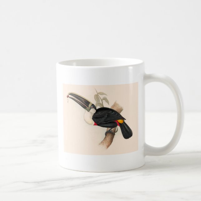 Antique Toucan Bird Wildlife Painting Kaffeetasse (Rechts)