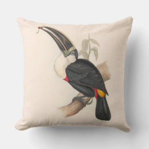 Antique Toucan Bird Wildlife Painting Kissen