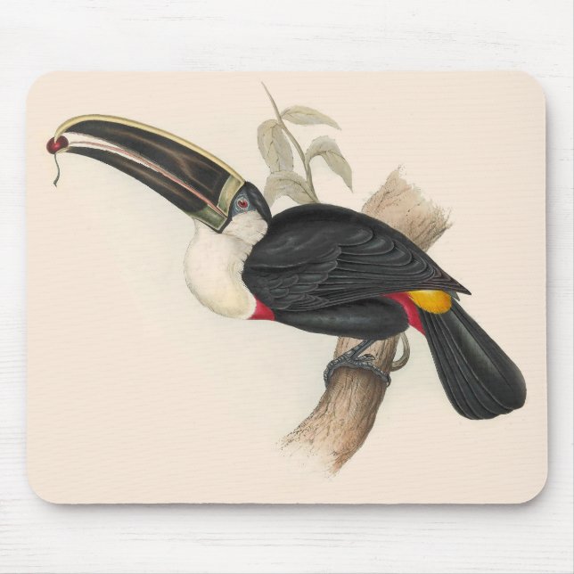 Antique Toucan Bird Wildlife Painting Mousepad (Vorne)