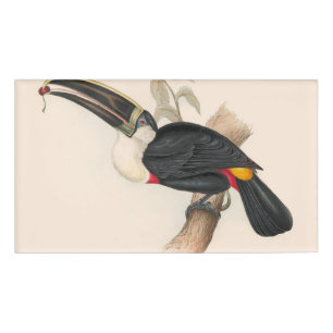 Antique Toucan Bird Wildlife Painting Namenschild