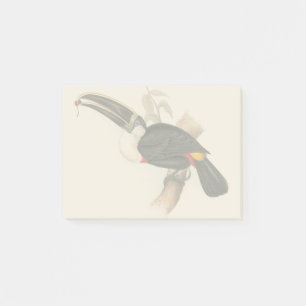 Antique Toucan Bird Wildlife Painting Post-it Klebezettel