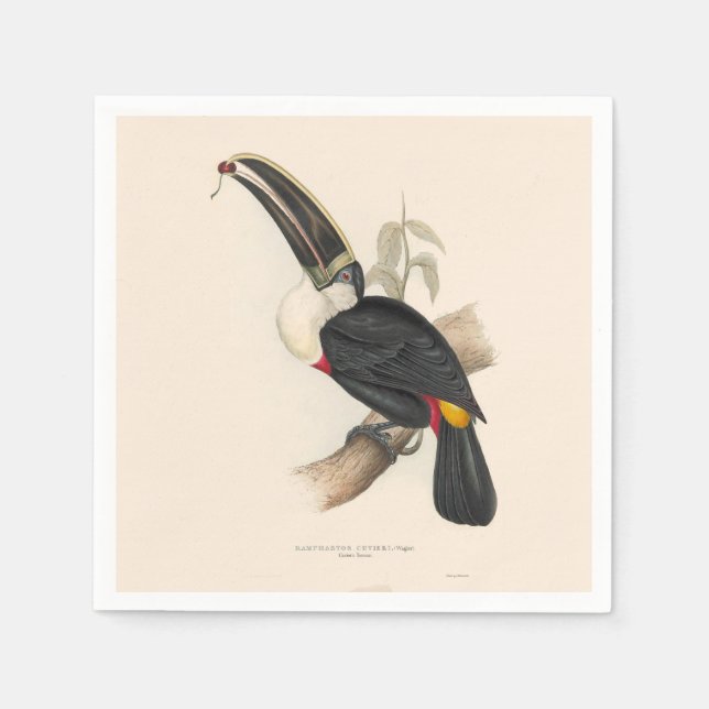 Antique Toucan Bird Wildlife Painting Serviette (Vorderseite)