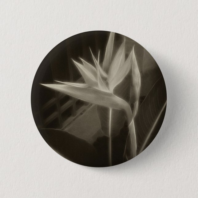 Antiqued Paradiesvogel 10 Button (Vorderseite)
