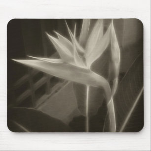 Antiqued Paradiesvogel 10 Mousepad