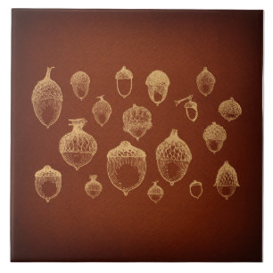 Antiquitäten Acorn Kunst, Illustriertes Vintages A Fliese