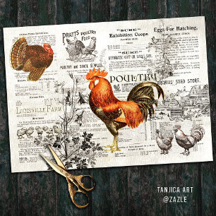 Antiquitäten Vintages Rooster Gartenbau Ads Epheme Seidenpapier