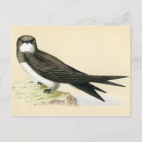 Antiquitätendruck Alpin