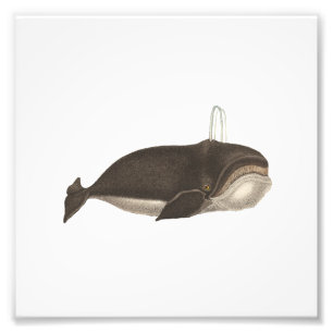 Antiquitätengravur Fotodruck