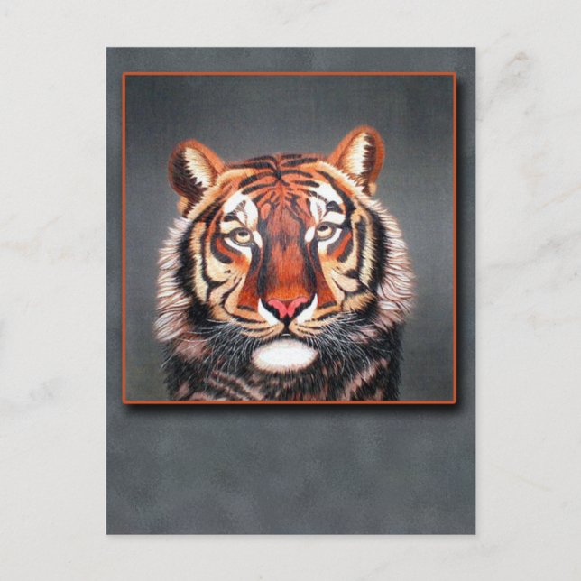 Antiquitätenmuseum Monte San Giorgio Postkarte (Vorderseite)