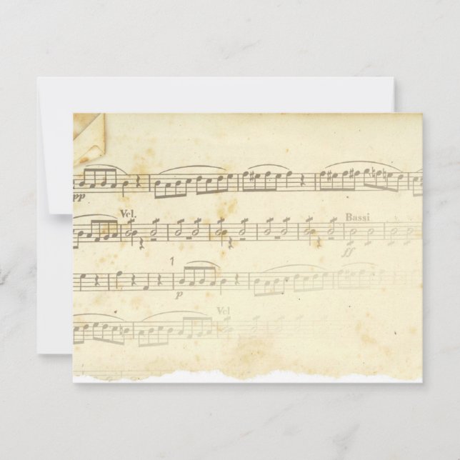 Antiquitätenmusik (Vorderseite)