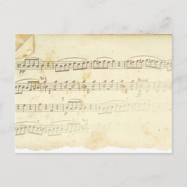 Antiquitätenmusik Postkarte (Vorderseite)