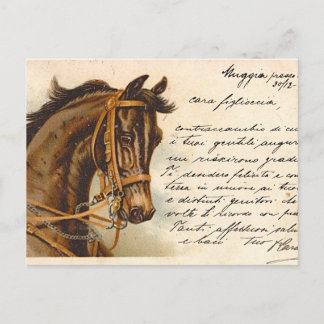 Antiquitätenpferd Postkarte