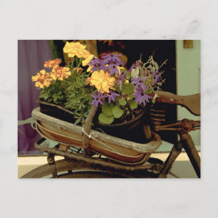 Antiquitätenrad Postkarte