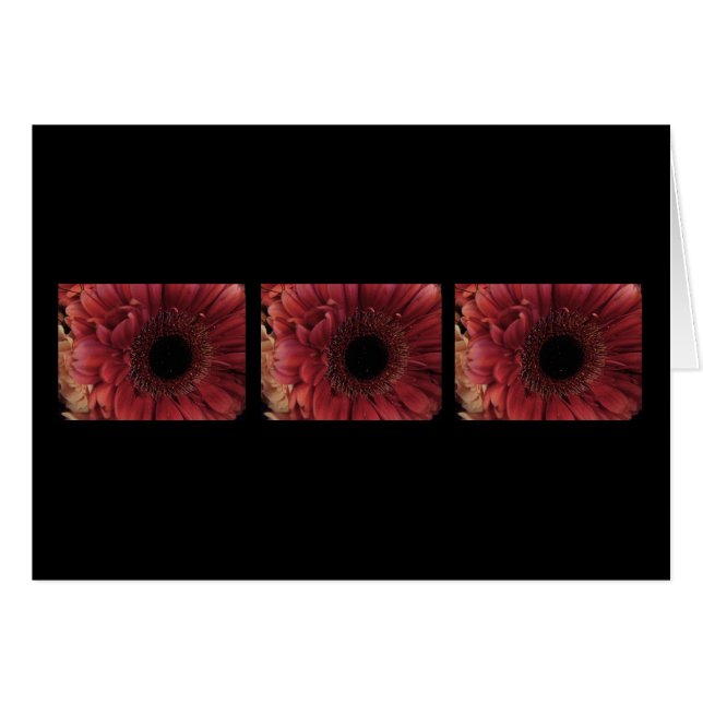 Antiquitätenrot (Trio) (Vorderseite (Horizontal))