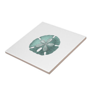 Antiquitätensee-Sand-Dollar-Illustration Fliese