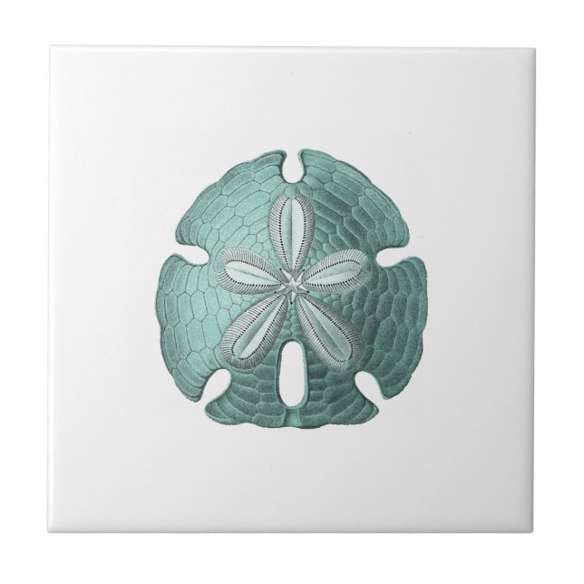 Antiquitätensee-Sand-Dollar-Illustration Fliese (Vorderseite)