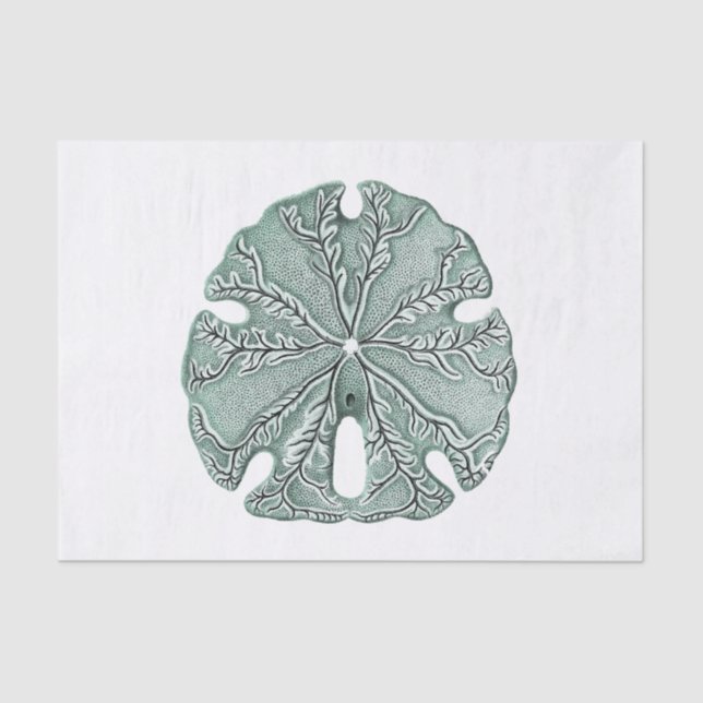 Antiquitätensee-Sand-Dollar-Illustration Seidenpapier (Vorderseite)
