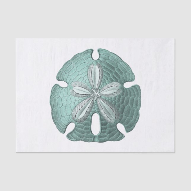 Antiquitätensee-Sand-Dollar-Illustration Seidenpapier (Vorderseite)