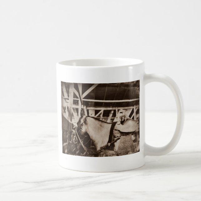 Antiquitätensehendes Foto Kaffeetasse (Rechts)
