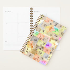 Antiquitätenstudien von Kopf, Hand, Ohren und Auge Planer