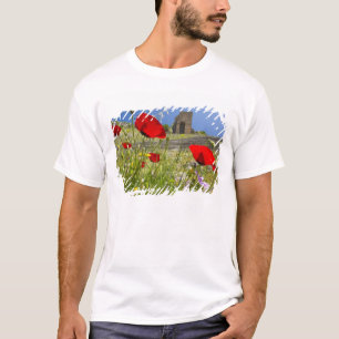 Antiquitätentheater in der Akropolis von Pergamon T-Shirt