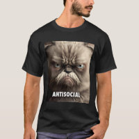 Antisozial-Grumpy Katze Nr. 1