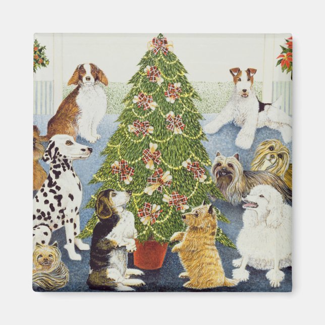 Antizipation Magnet (Vorne)