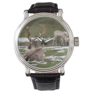 Antler Armbanduhr