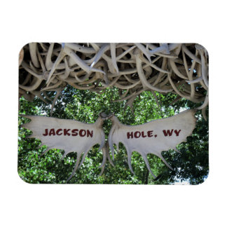 Antlers Arch Jackson Hole, Wyoming Travel Magnet